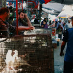 Gazze'de pazar yeri II