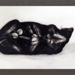 İbrahim Yıldız, “Güç ve Anafilaksi: Gerginlik”, 150x250 cm, Kâğıt Yüzeyine Yağlıboya, 2013