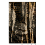 Berna Özlem ÖZCAN, "Kayın Ormanı", 80x60cm, T.Ü.D.B., 2021