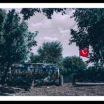 GAMZE BÜDEYRİ,BAYRAK,2019,1620X1080,DİJİTAL FOTOĞRAF